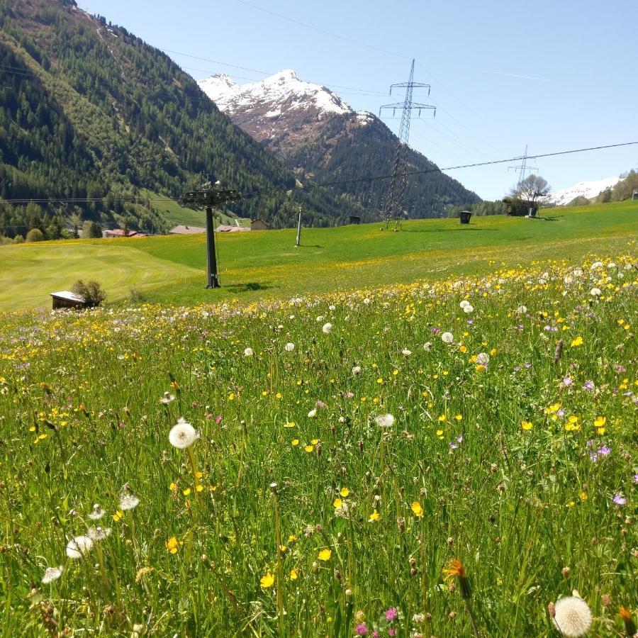 Stier Apartment Sankt Anton am Arlberg Exteriör bild