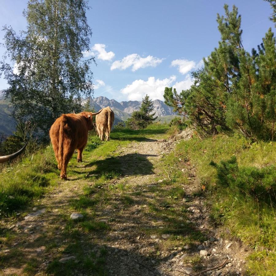 Stier Apartment Sankt Anton am Arlberg Exteriör bild