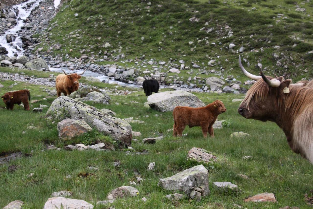 Stier Apartment Sankt Anton am Arlberg Exteriör bild